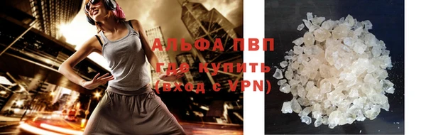 твердый Богданович