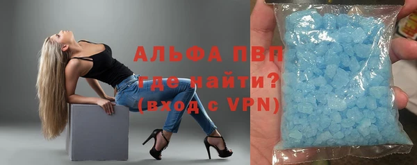 твердый Богданович