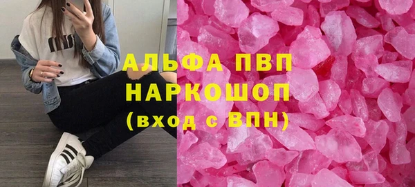 твердый Богданович