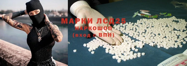 твердый Богданович