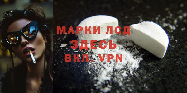 твердый Богданович