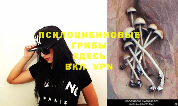 твердый Богданович